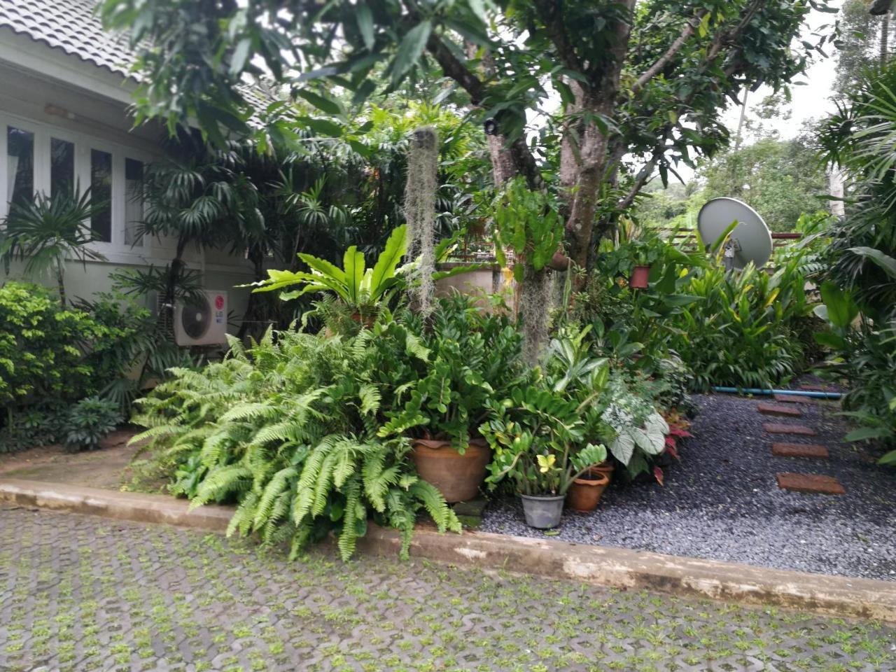 Reuan Phaolai Bophut Ngoại thất bức ảnh